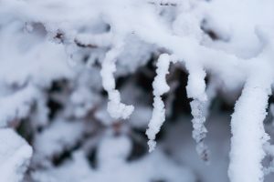 Tuesday's snow brings vehicle wrecks; warmer weather to return